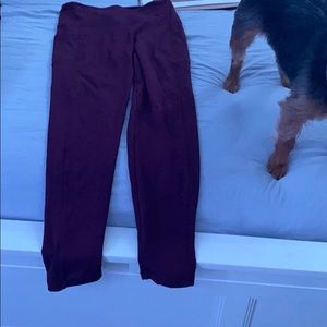 Bally leggings